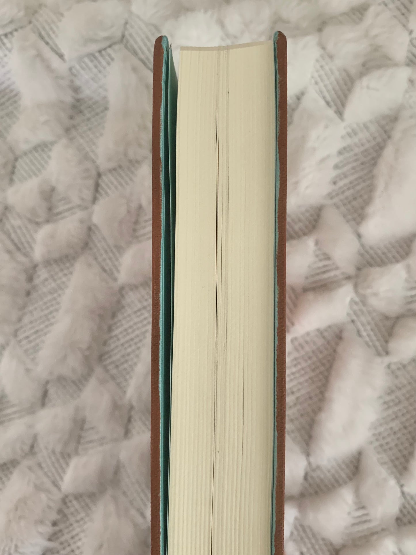 NIV Journal The Word Painted Bible