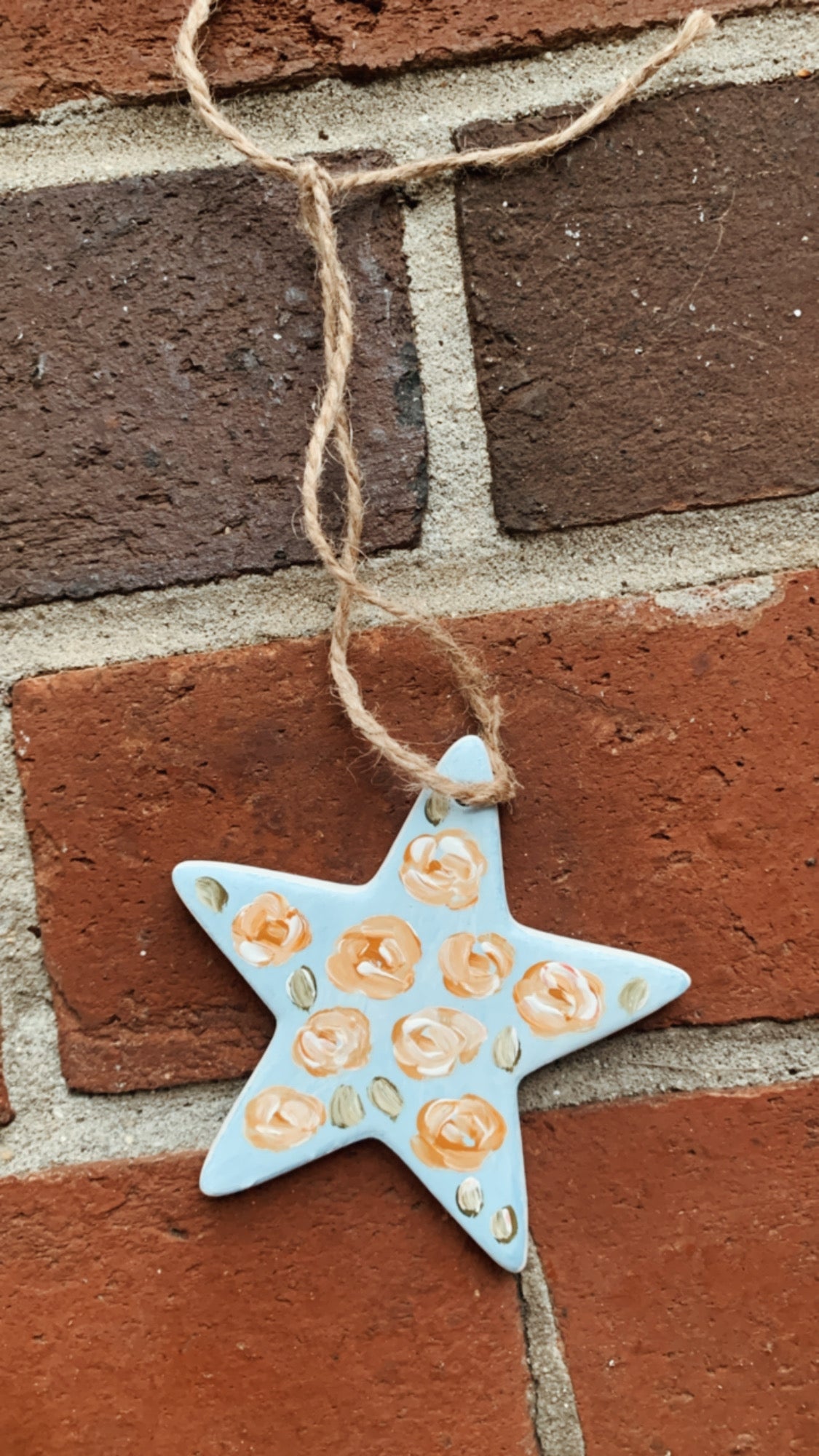 Painted Star Ceramic Ornament